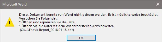Word konnte das Dokument nicht lesen