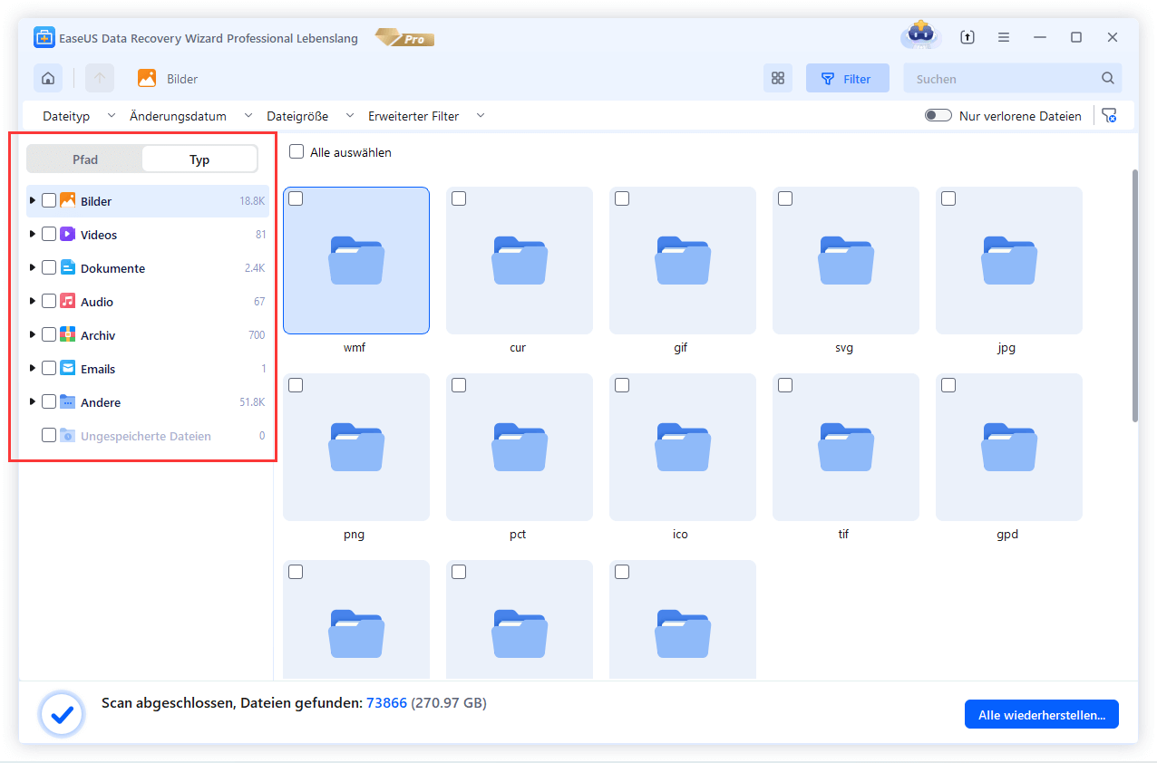 Wählen Sie den Typ der wiederhergestellten Daten