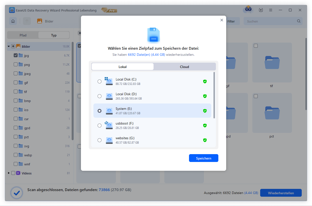 Verlorenen Dateien wiederherstellen.