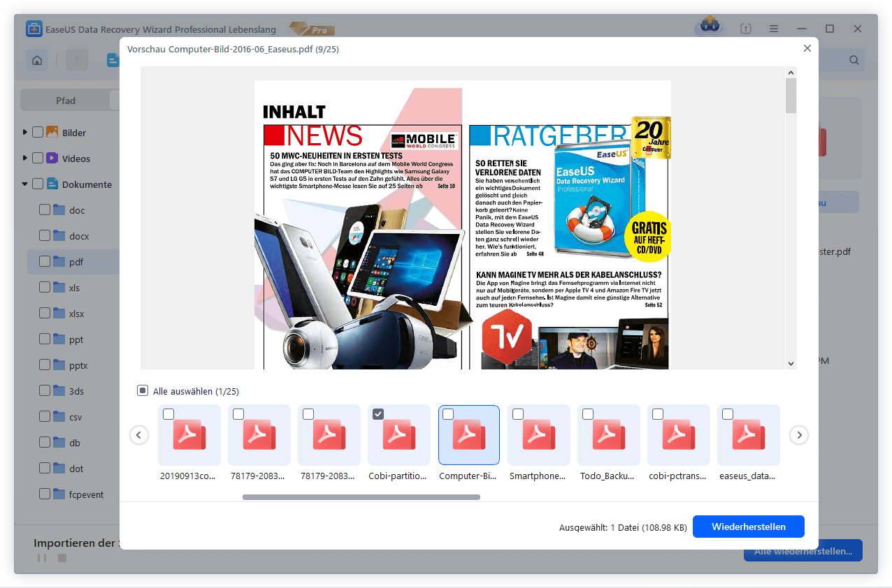 gefundene PDF Dateien anschauen und die gewünschten wiederherstellen