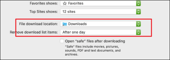 Safari Download löschen