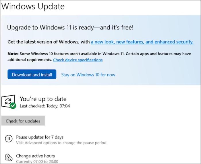 Windows-Update ausführen