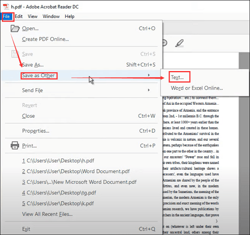 komplett-kostenlos-pdf-datei-in-textdatei-umwandeln-easeus